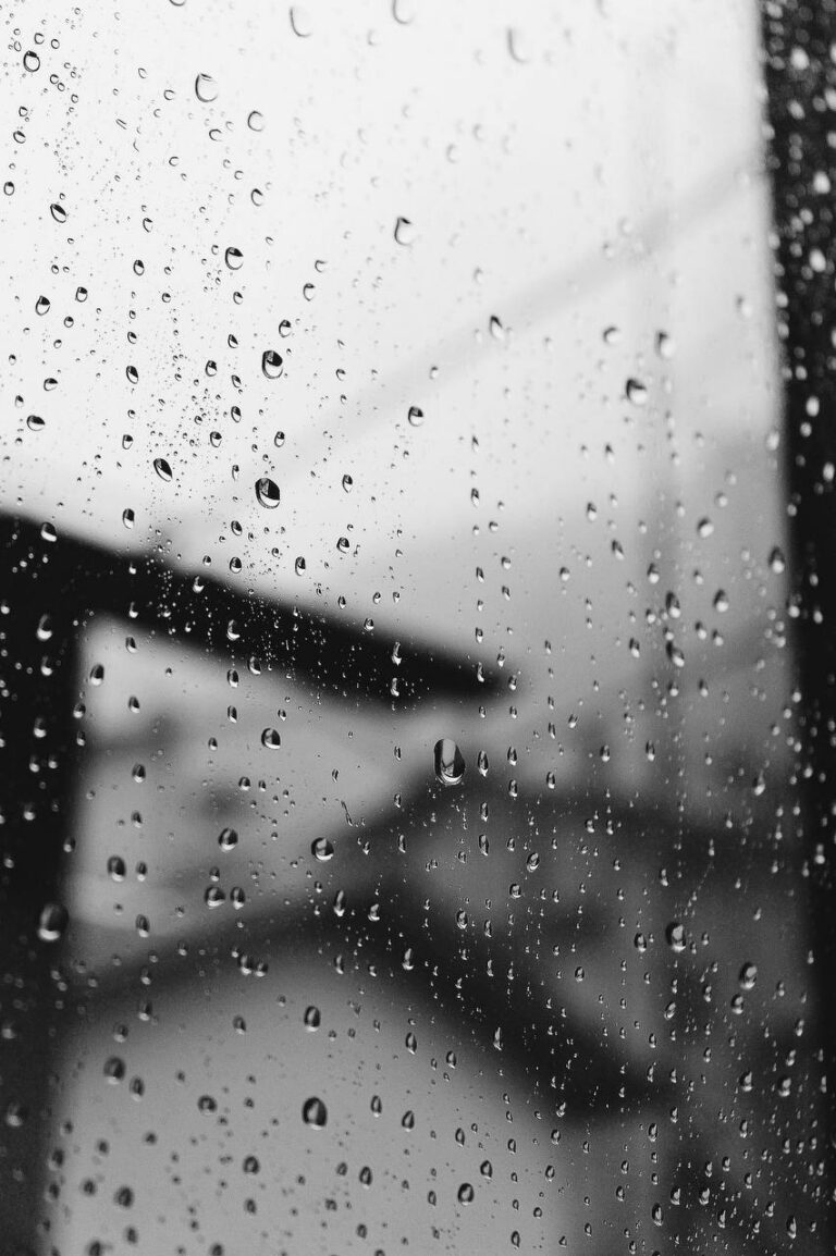 photo_2025-07-21_19-29-25