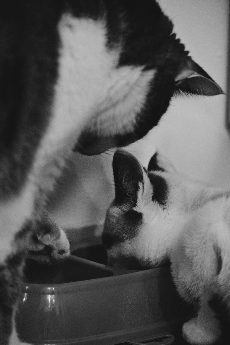 photo_2025-07-21_19-29-28