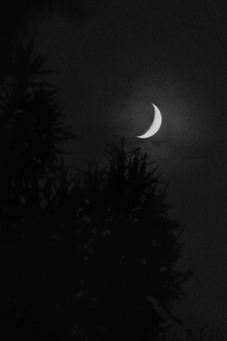 photo_2025-07-21_19-29-30